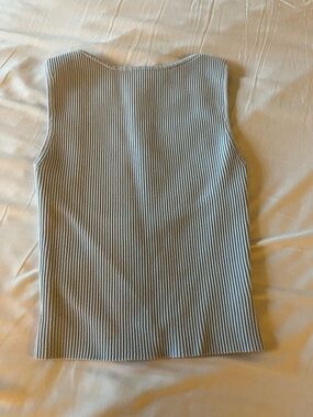 Aritzia Babaton sculpt tank in glimmer